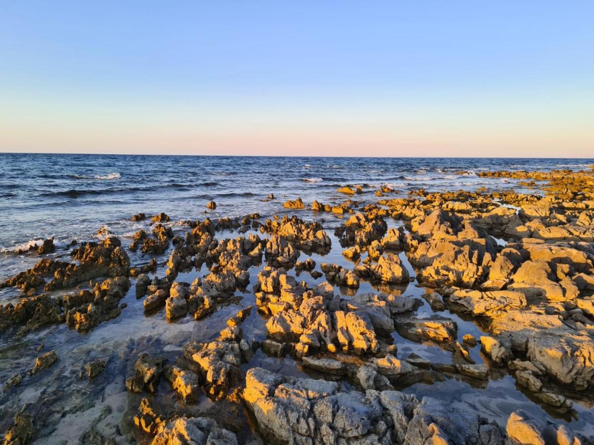 Sole Mare Sale Bed and Breakfast Torre Nubia Εξωτερικό φωτογραφία