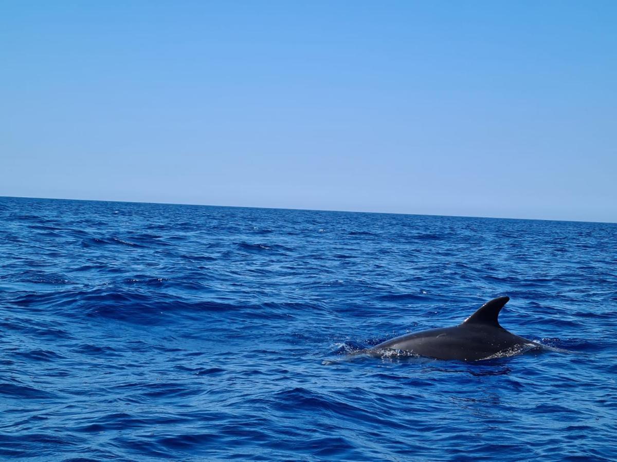 Sole Mare Sale Bed and Breakfast Torre Nubia Εξωτερικό φωτογραφία